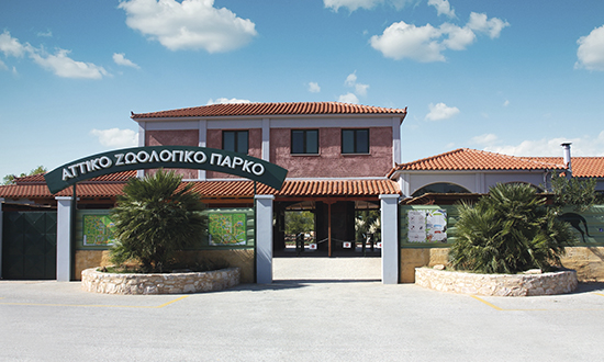 Family escape at Attica Zoological Park