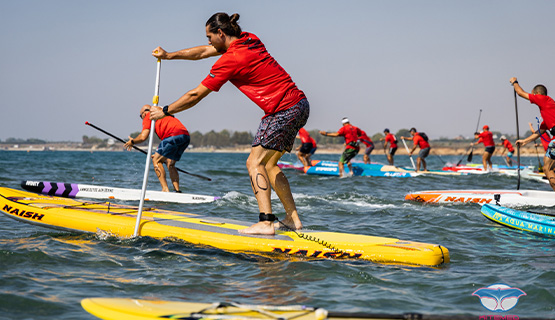 Stand Up & Paddle 